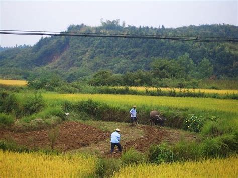 咸寧東去哪些地方：探索未知之旅，品味地域風情